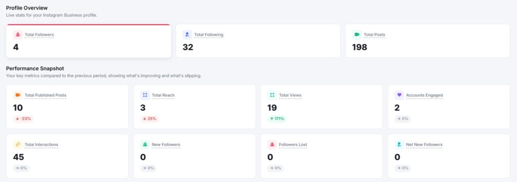 IG Profile Overview and Performance Snapshot